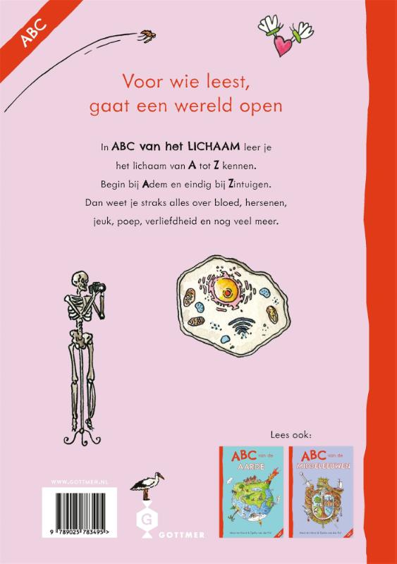 Achterkant van ABC van het lichaam