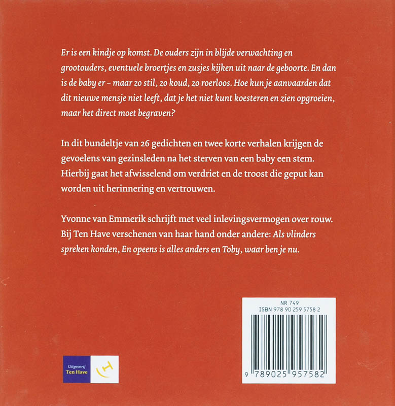 Achterkant van Roerloos