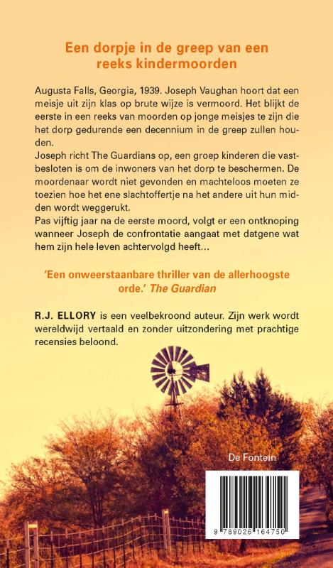 Achterkant van Een stil geloof in engelen