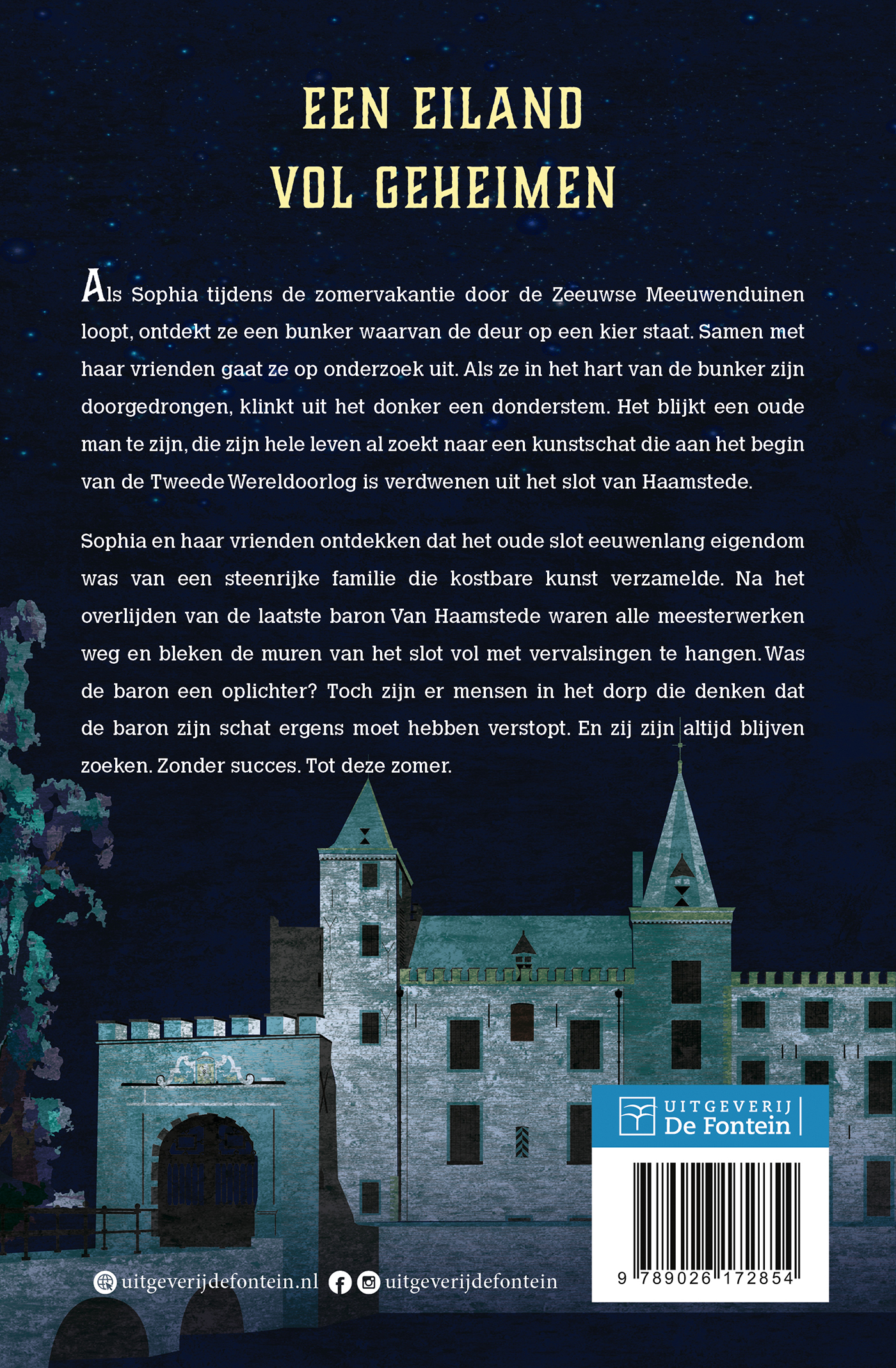 Achterkant van Het mysterie van Haamstede