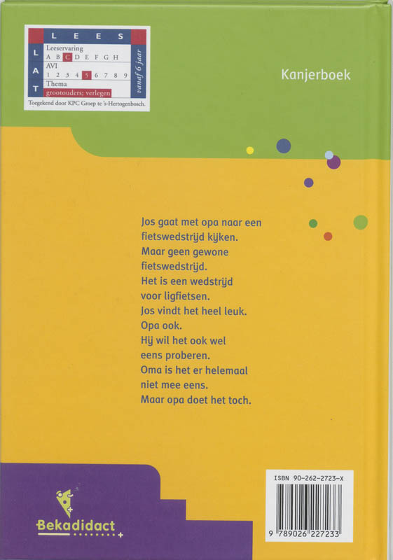 Achterkant van De ligfiets