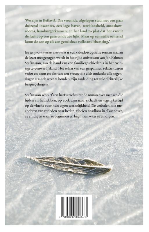 Achterkant van Iets ter grootte van het universum