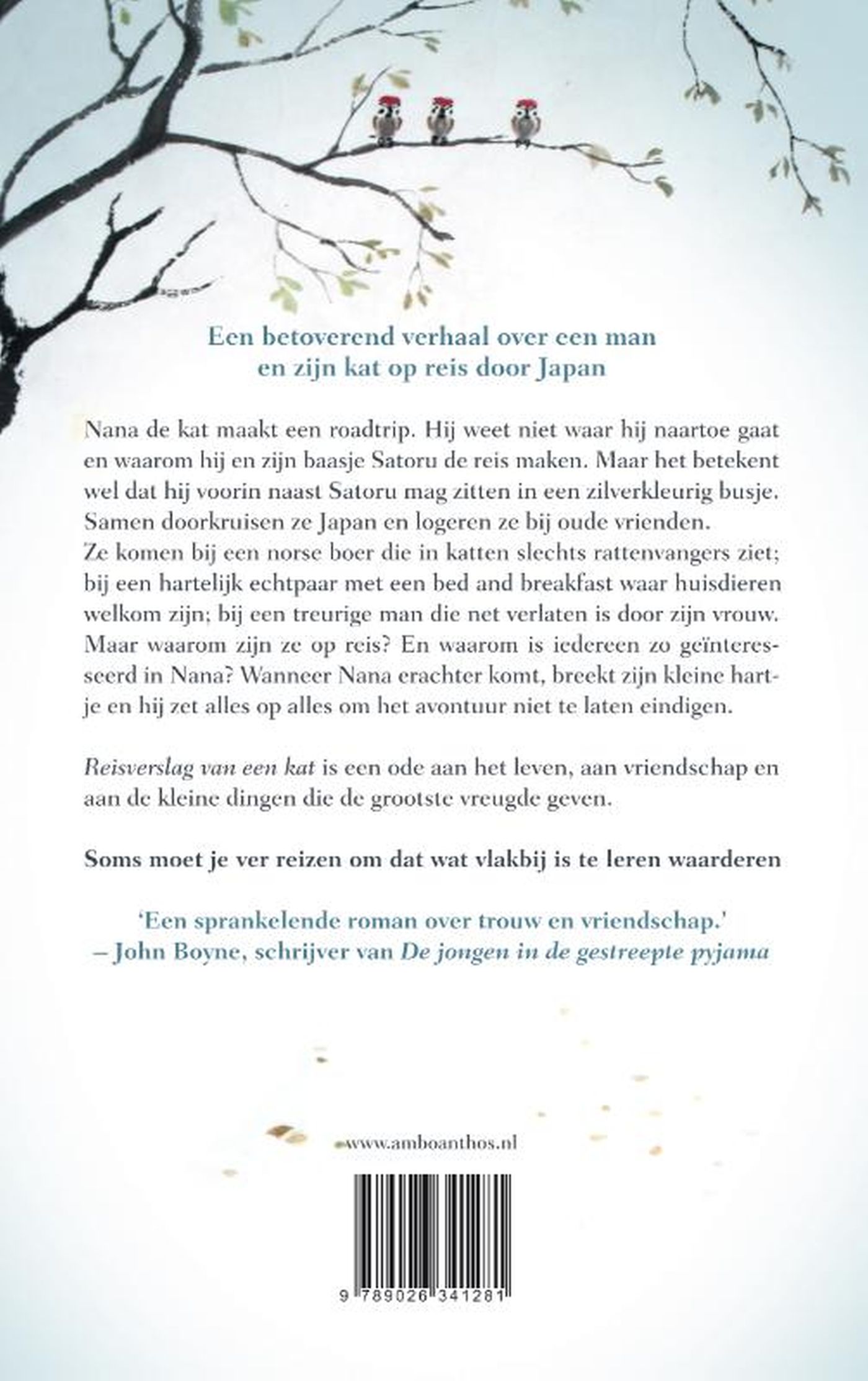 Achterkant van Reisverslag van een kat