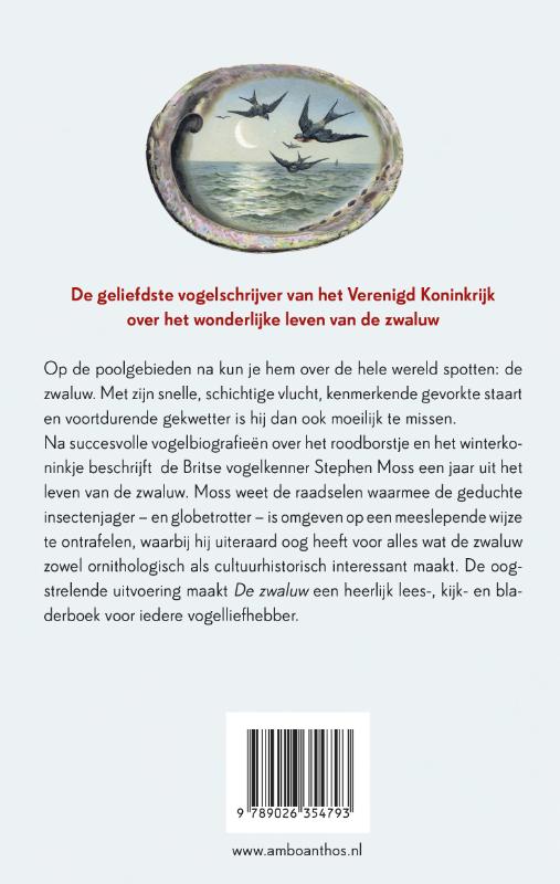 Achterkant van De zwaluw