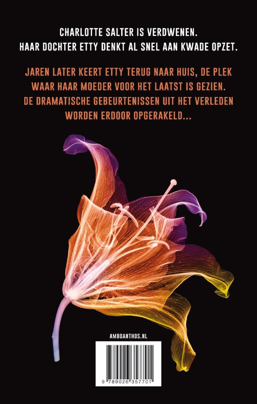 Achterkant van Heeft iemand Charlotte Salter gezien?