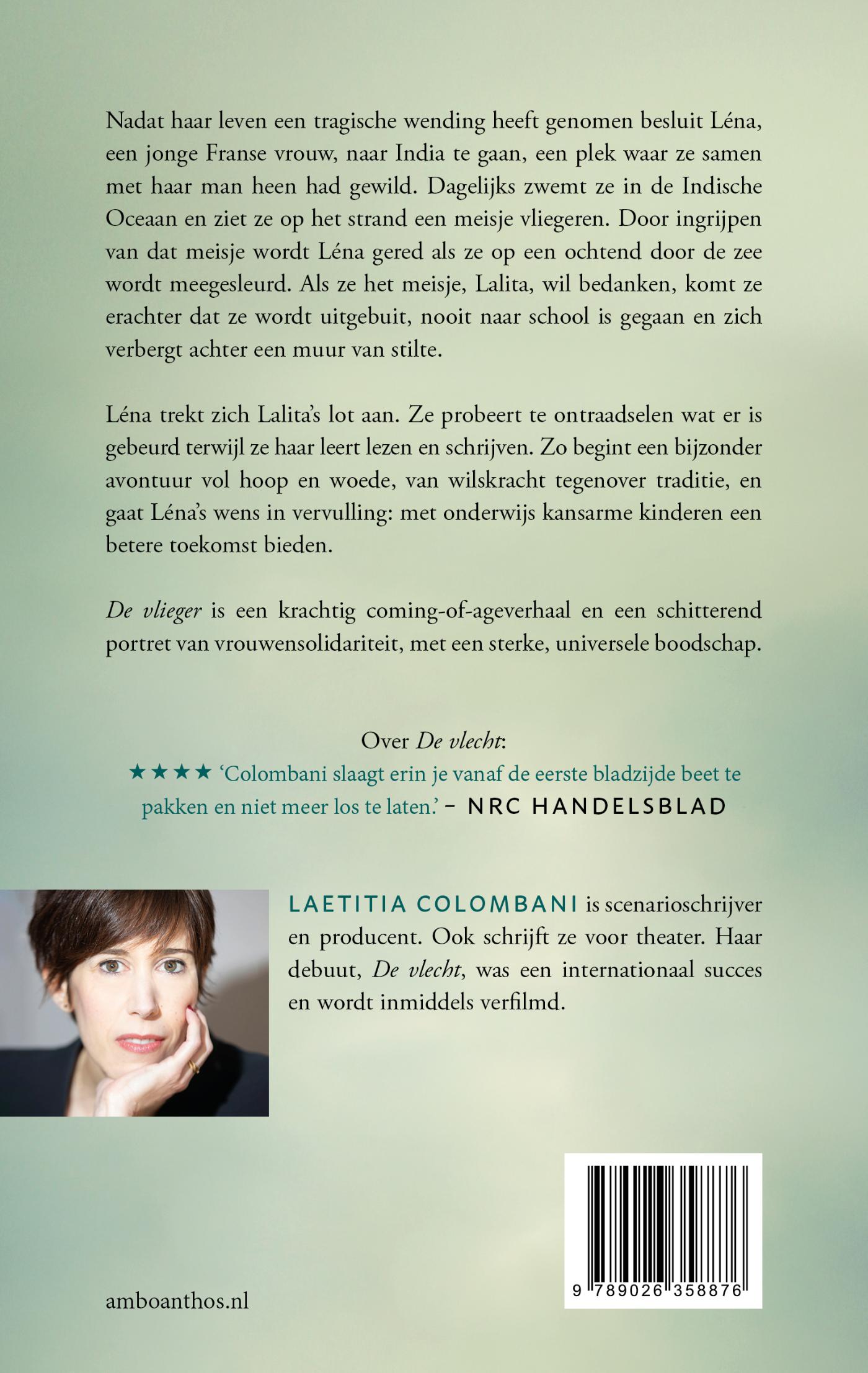 Achterkant van De vlieger