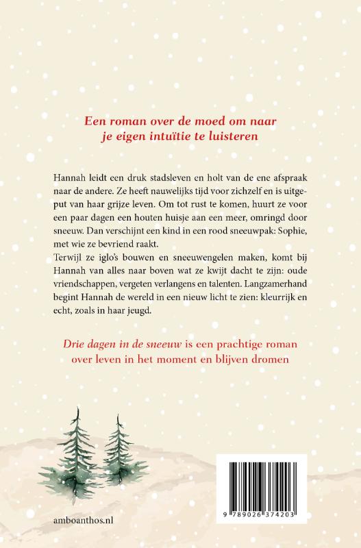 Achterkant van Drie dagen in de sneeuw