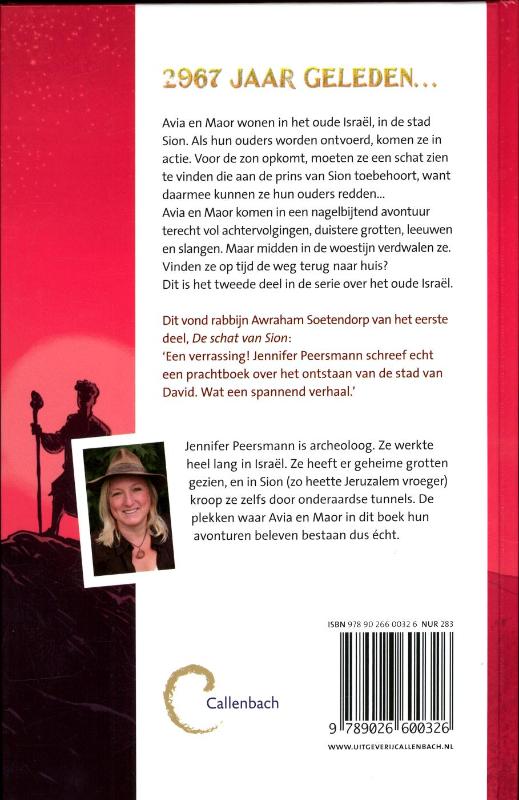 Achterkant van Het geheim van de gouden ster