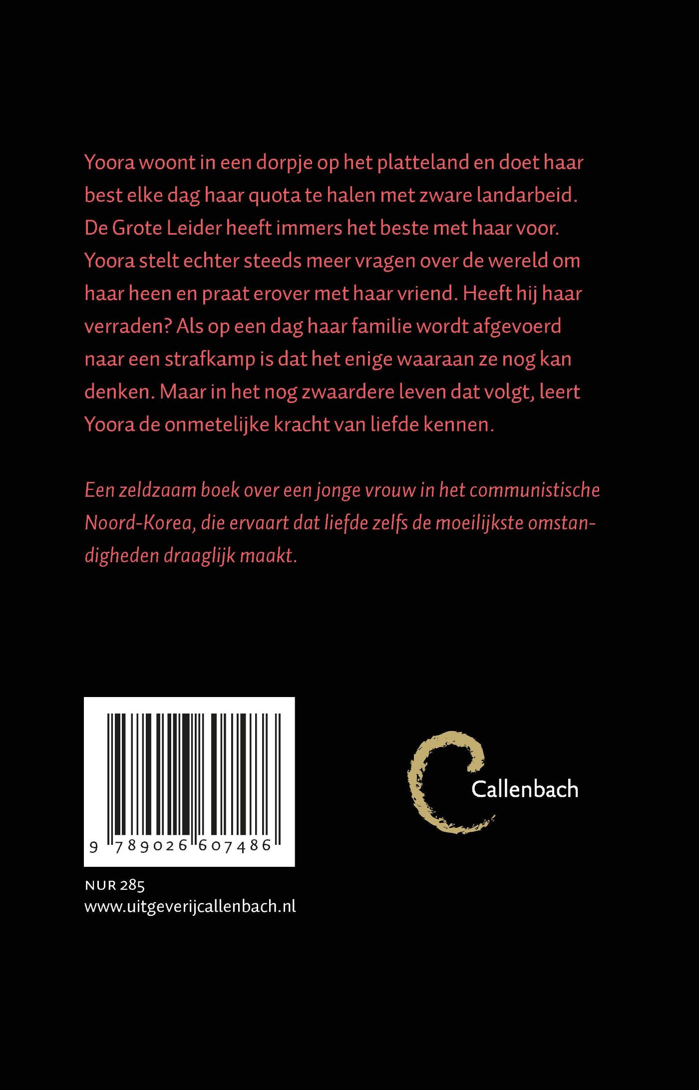 Achterkant van Vogel zonder vleugels