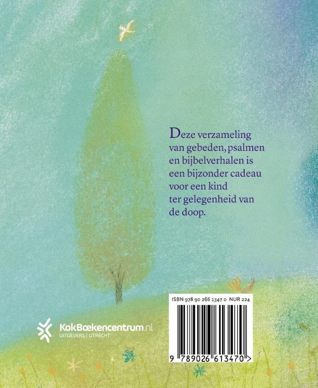Achterkant van Mijn Doopboek