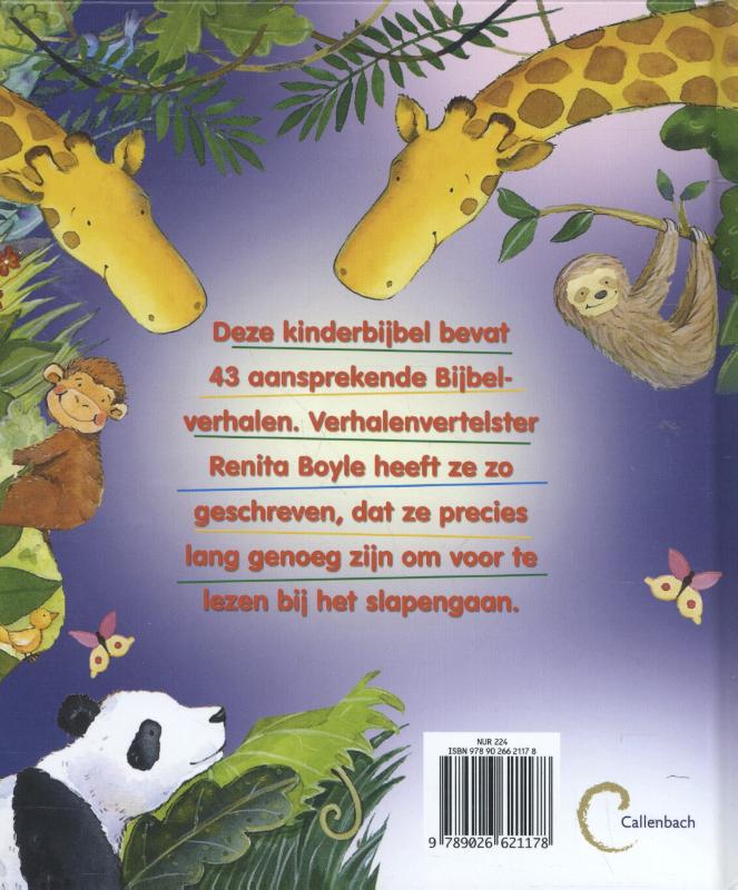 Achterkant van Mijn Bijbelverhalenboek voor het slapen gaan
