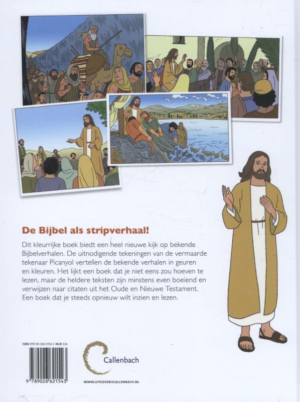 Achterkant van Het stripboek van de Bijbel