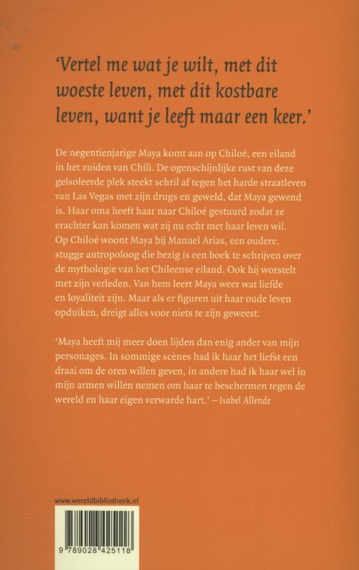 Achterkant van Het negende schrift van Maya