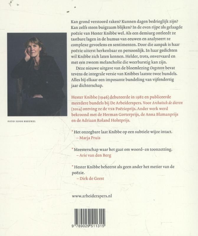 Achterkant van Oogsteen