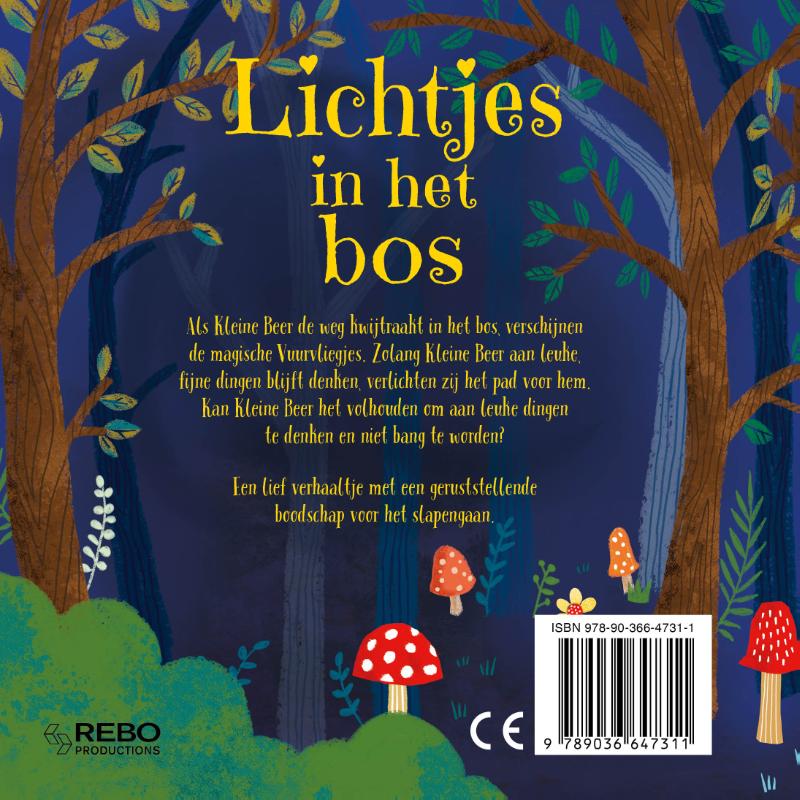 Achterkant van Lichtjes in het bos