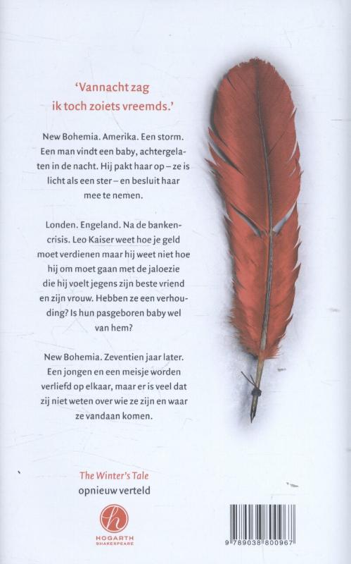 Achterkant van Het gat in de tijd