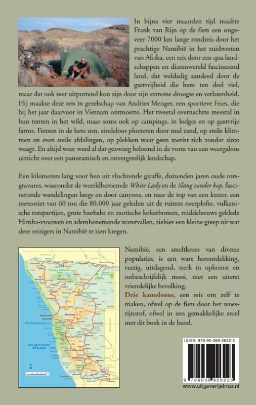 Achterkant van Drie kameleons