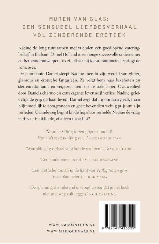 Achterkant van De ontmoeting