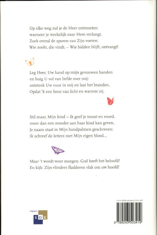 Achterkant van Een vlinder van God
