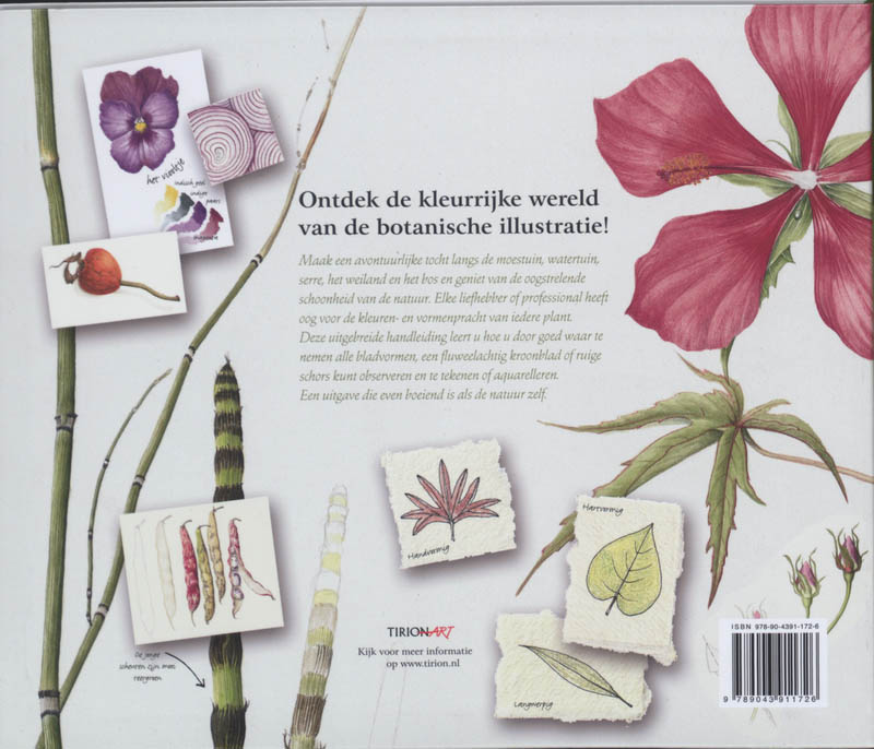 Achterkant van Botanische kunst