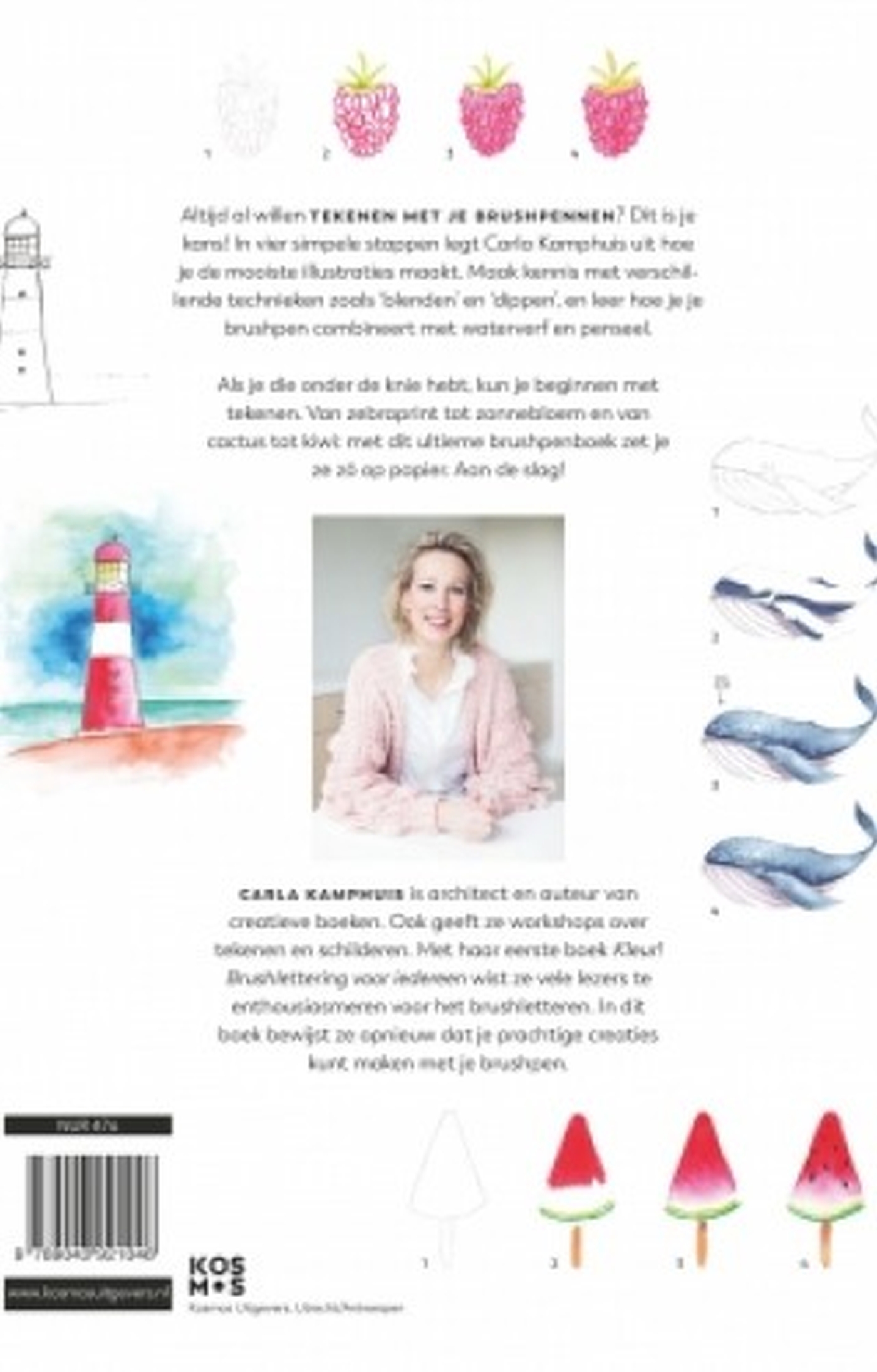 Achterkant van Het ultieme brushpenboek