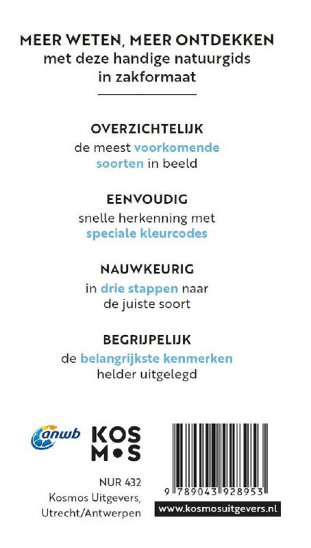 Achterkant van Vlinders