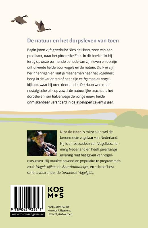 Achterkant van Koekoeksjong in Zalk
