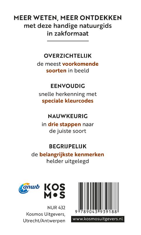 Achterkant van Insecten