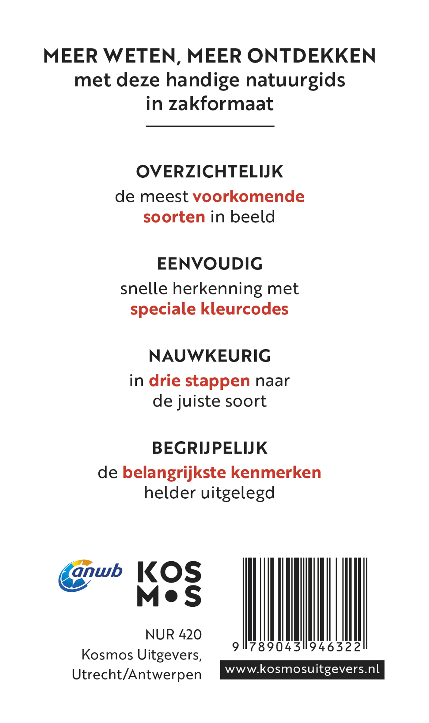 Achterkant van Paddenstoelen