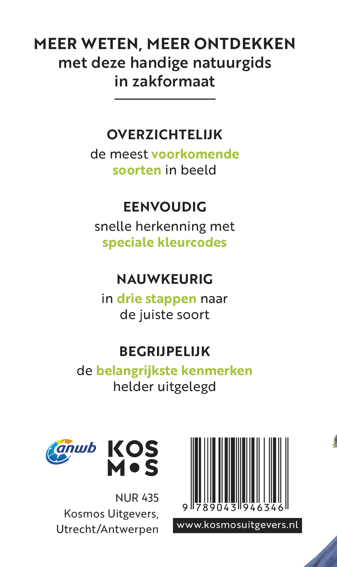 Achterkant van Tuinvogels