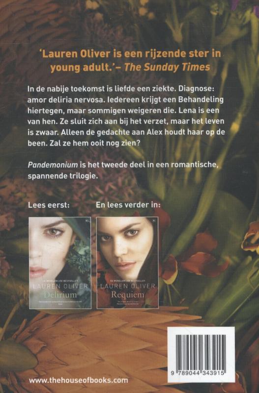 Achterkant van Pandemonium