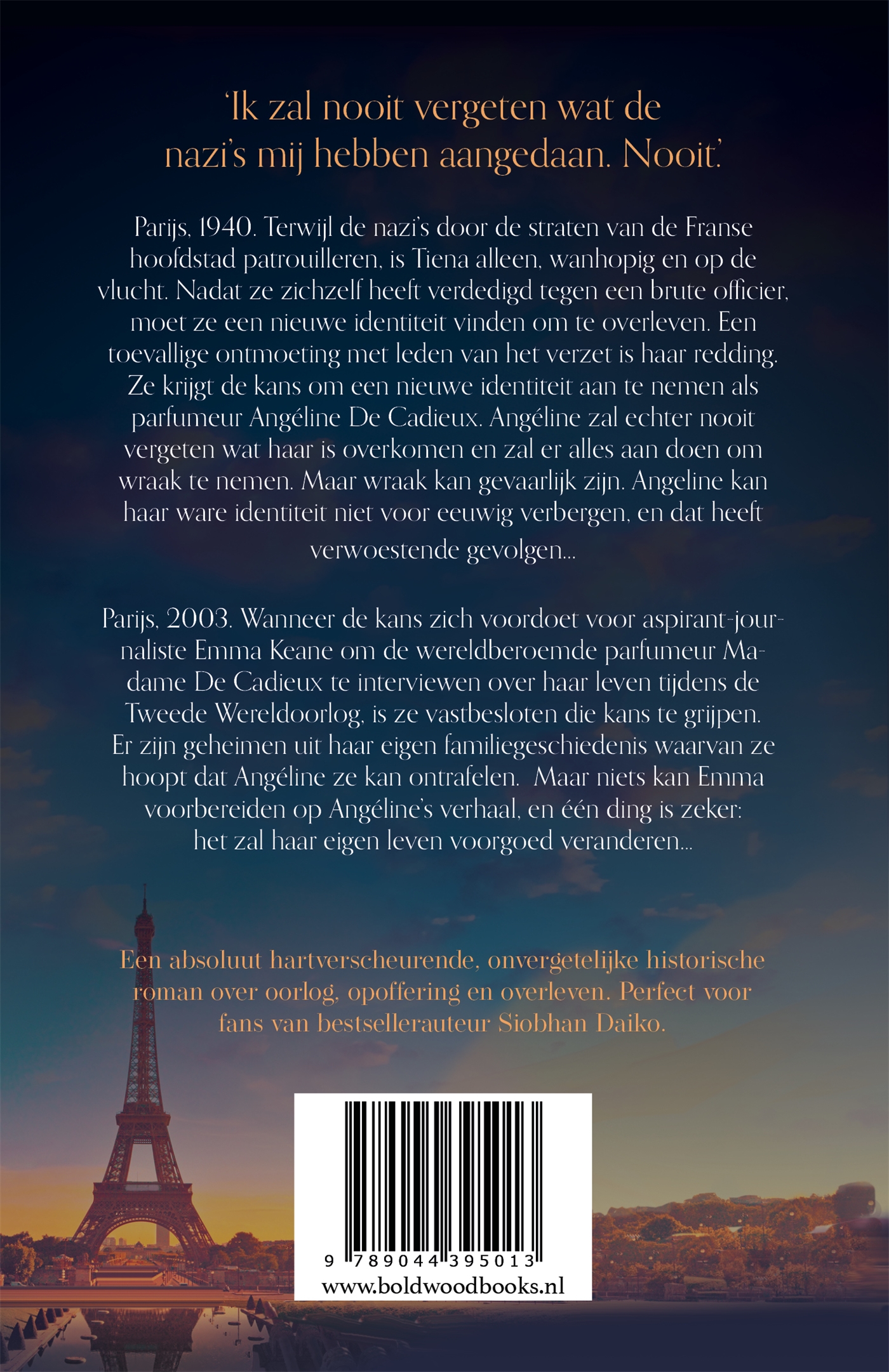 Achterkant van Het meisje in Parijs