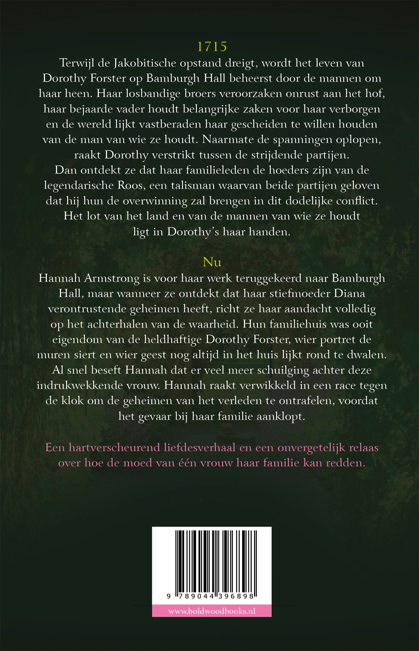 Achterkant van Het geheim van de Roos