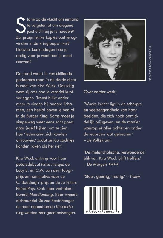 Achterkant van Koeiendagen