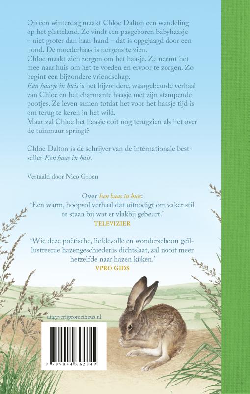 Achterkant van Een haasje in huis