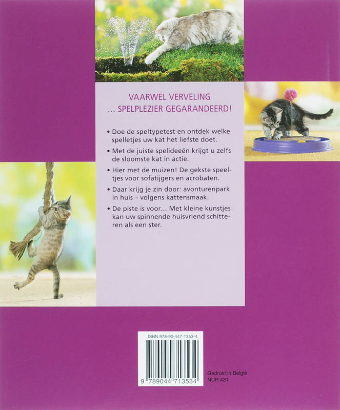 Achterkant van De allerleukste kattenspelletjes