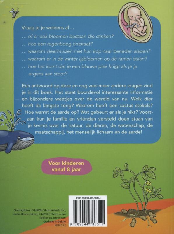 Achterkant van Vraag en antwoordboek