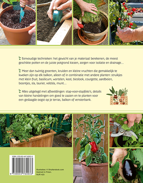 Achterkant van Een moestuin in potten & bakken