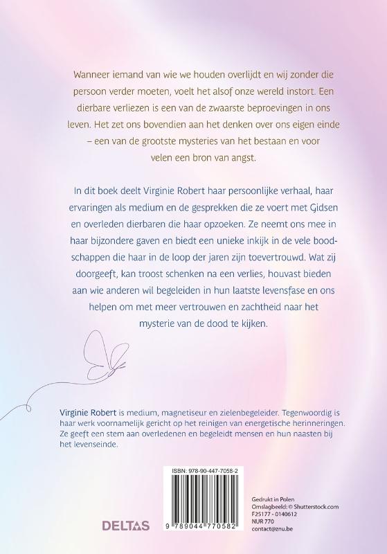 Achterkant van Gesprekken met het hiernamaals