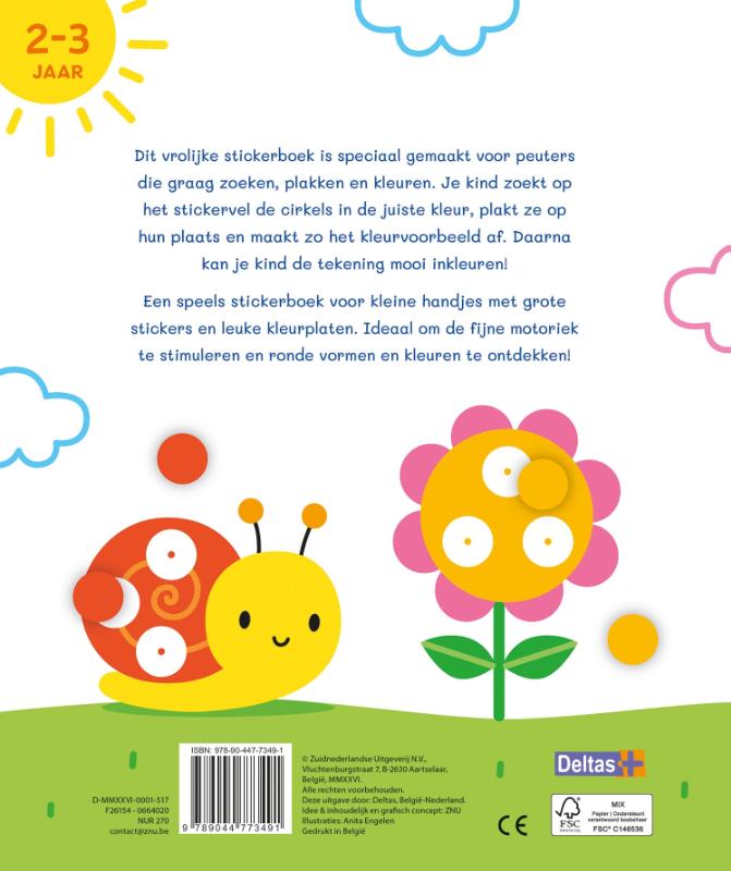 Achterkant van 2-3 jaar