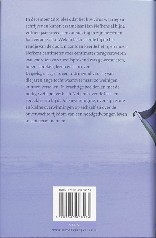 Achterkant van De gevlogen vogel