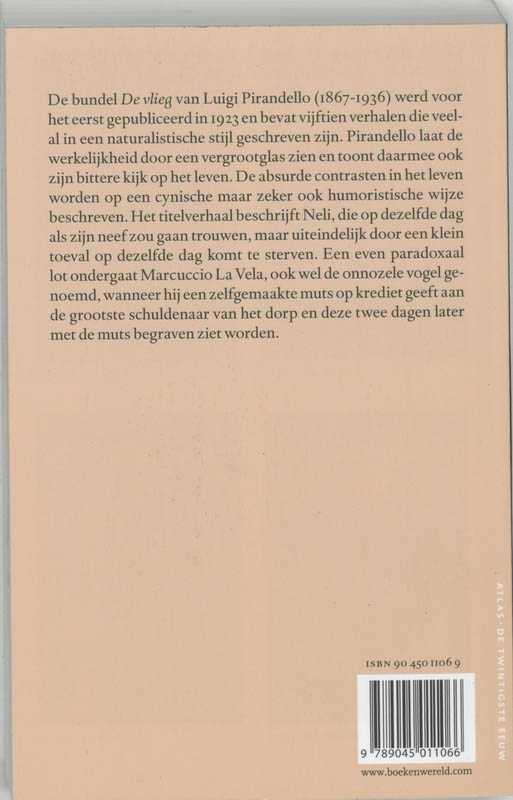 Achterkant van De vlieg