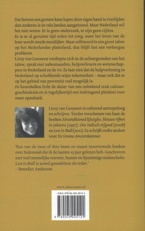 Achterkant van De hanenbalken