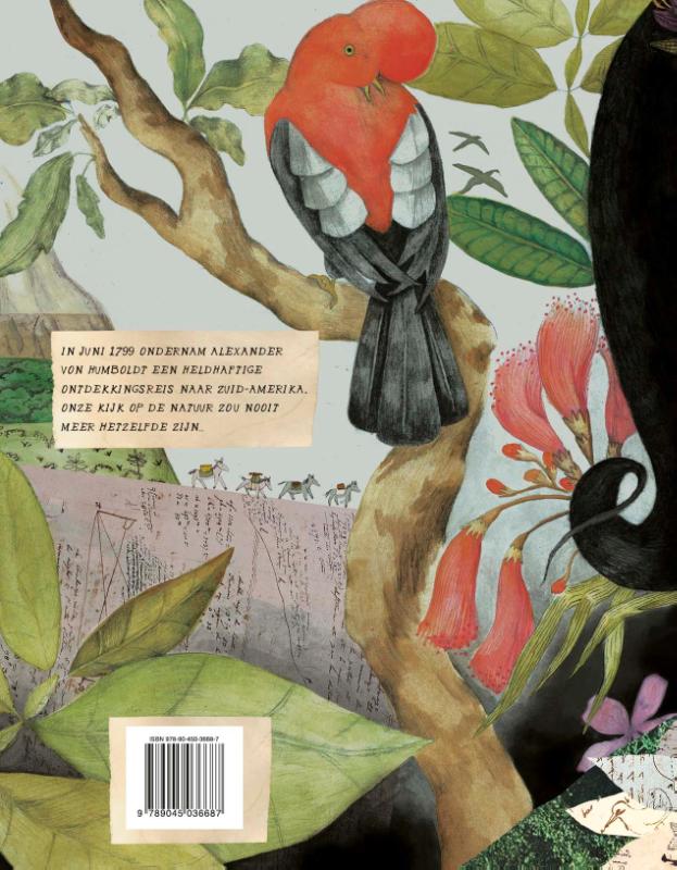 Achterkant van De avonturen van Alexander von Humboldt