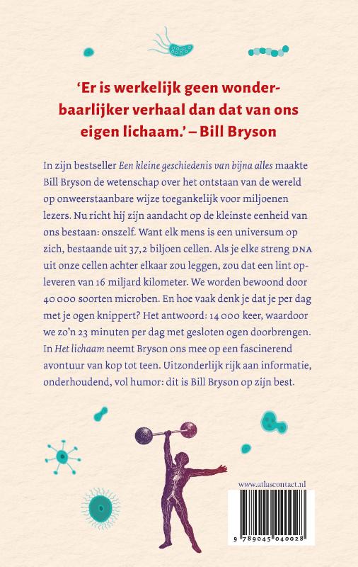 Achterkant van Het lichaam