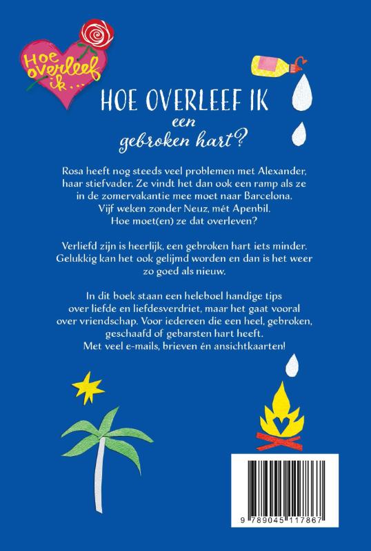 Achterkant van Hoe overleef ik een gebroken hart?