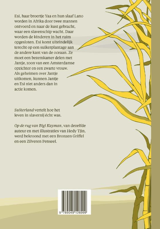 Achterkant van Suikerland