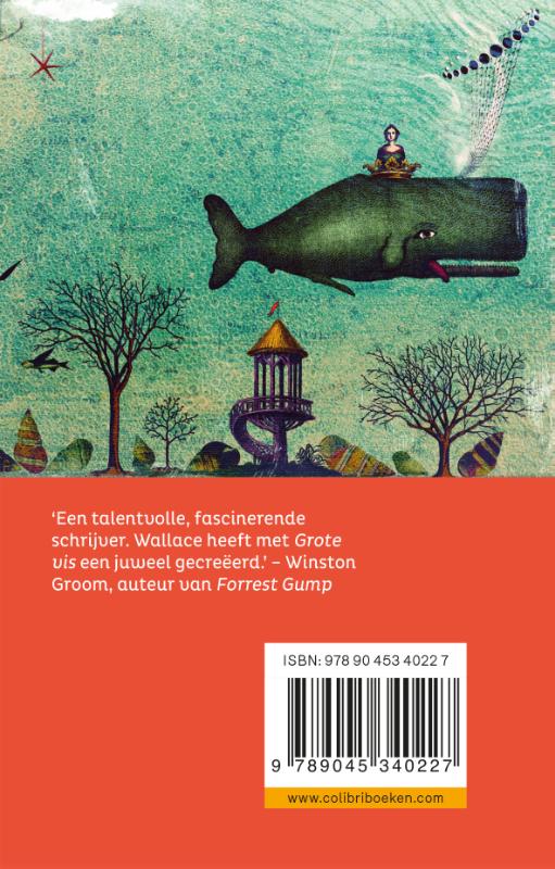 Achterkant van Grote vis