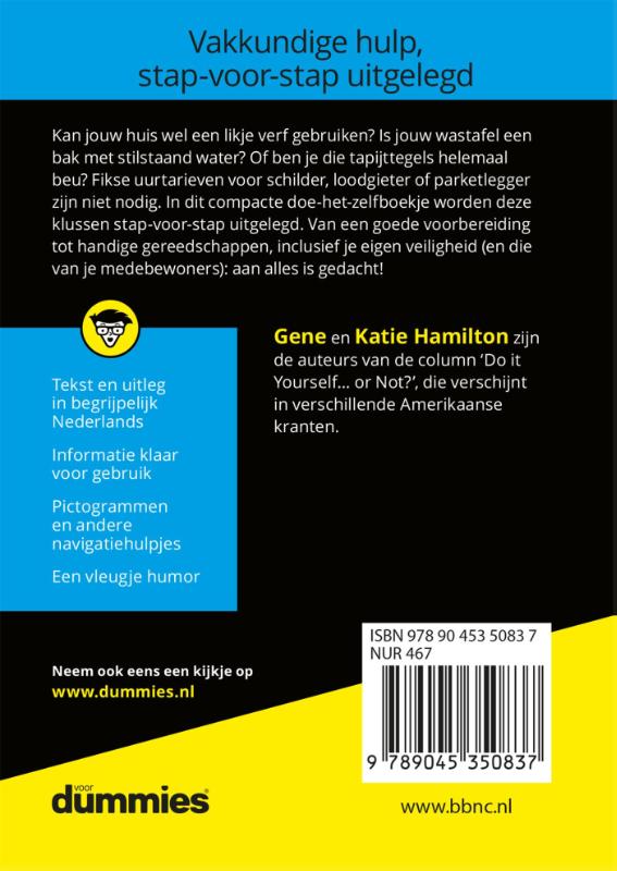 Achterkant van De kleine klussen voor Dummies