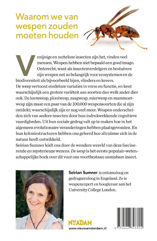 Achterkant van De wesp